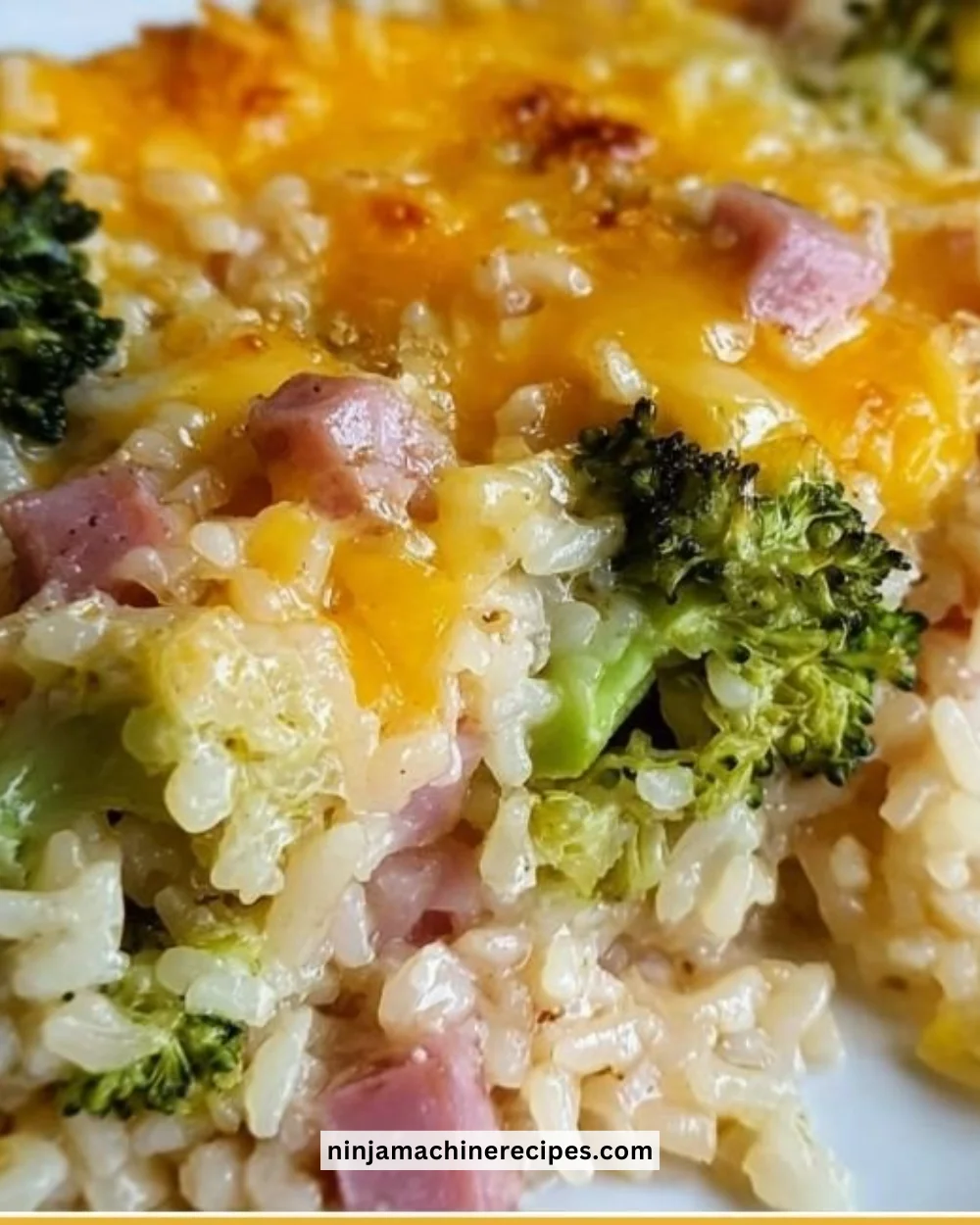 Delicious Broccoli Ham Rice Bake fresh out of the oven, ready to serve.