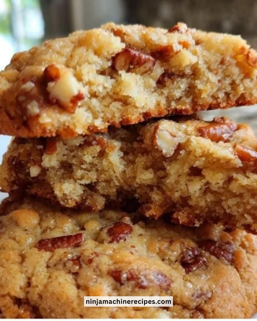Plate of freshly baked Butter Pecan Cookies with pecans on top.