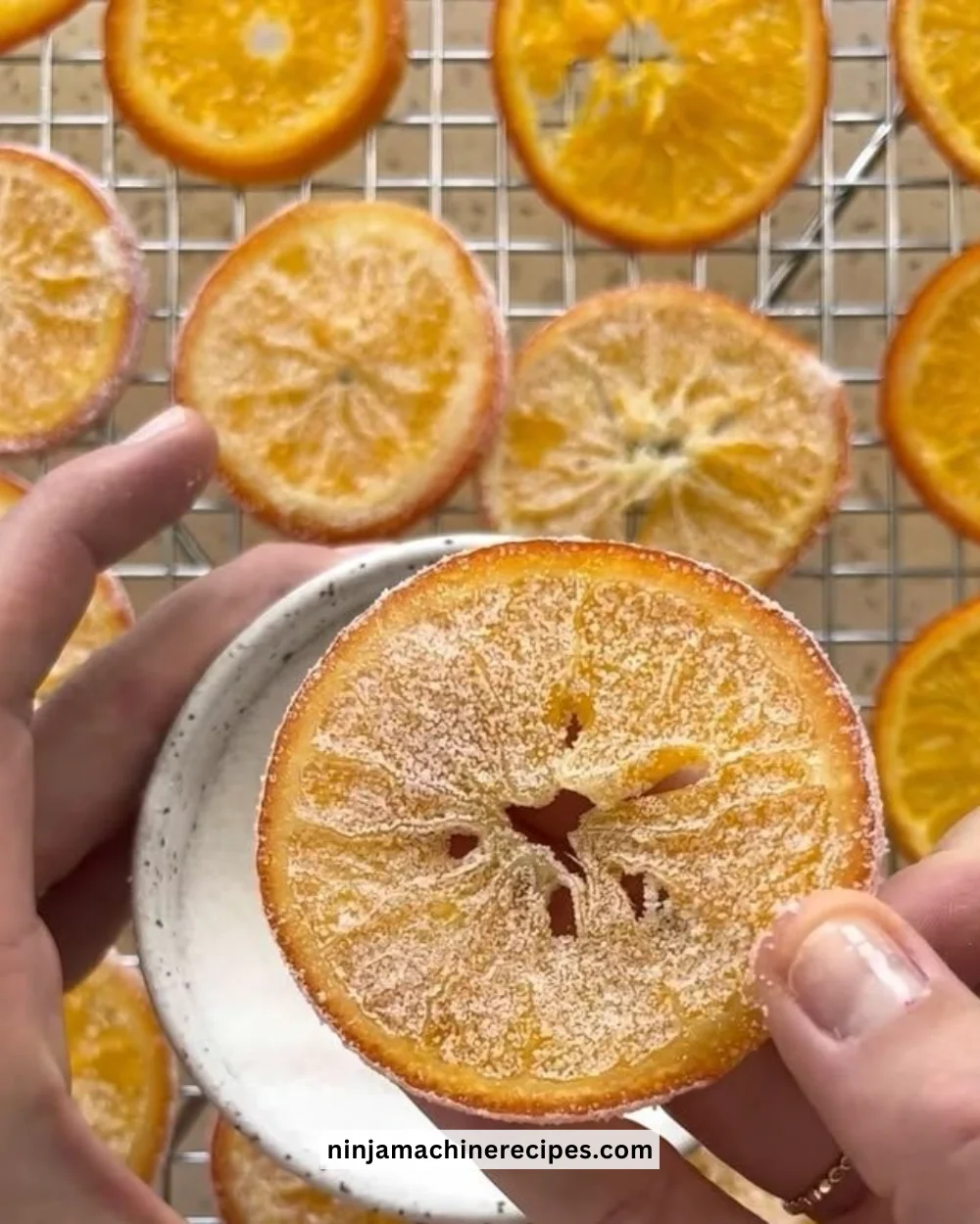 A bowl of homemade candied orange slices, glistening with sugar.