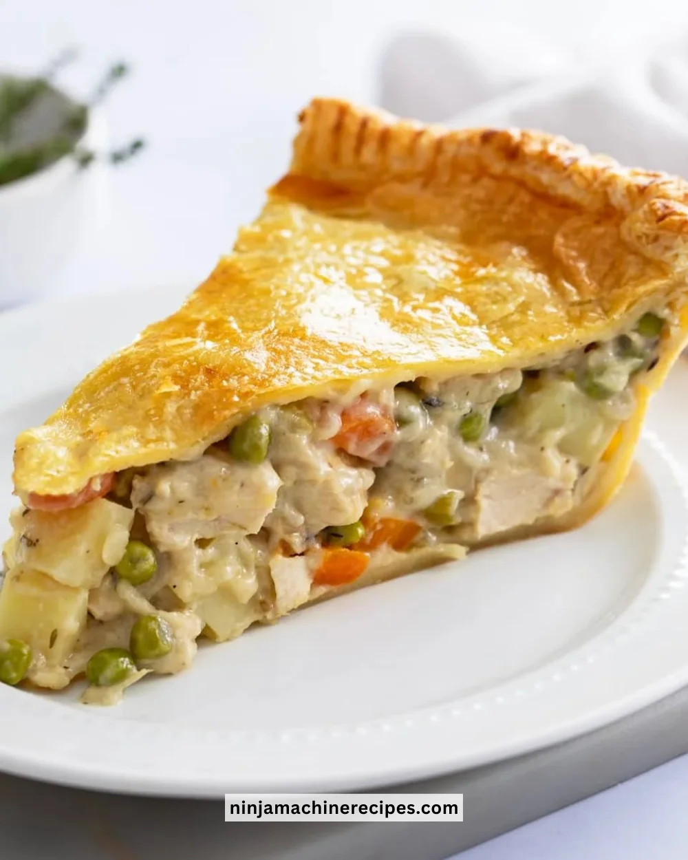 Delicious homemade Chicken Pot Pie with flaky crust and savory filling