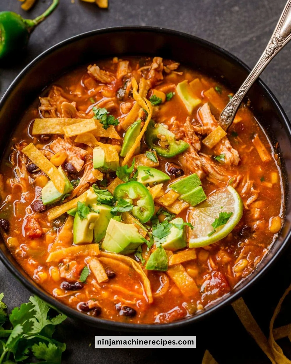 Bowl of Chicken Tortilla Soup garnished with tortilla strips and cilantro.