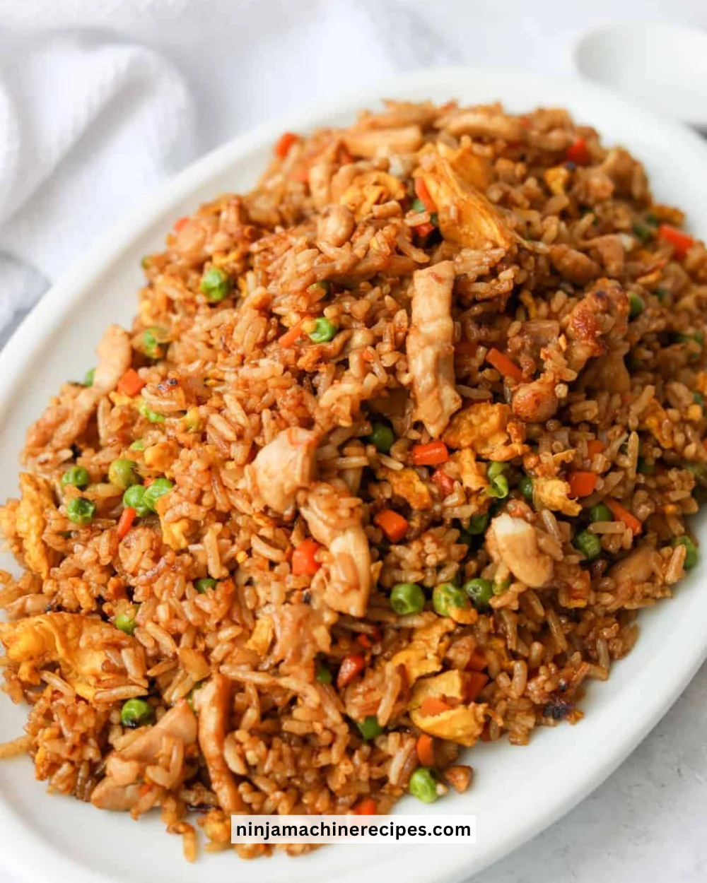 Plate of Chinese Chicken Fried Rice with chicken and vegetables