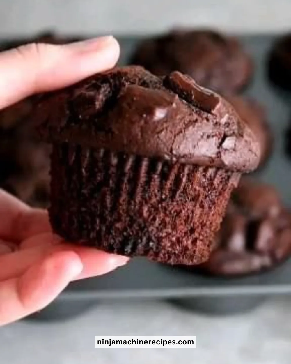 Double chocolate chip muffins fresh out of the oven with gooey chocolate chips.
