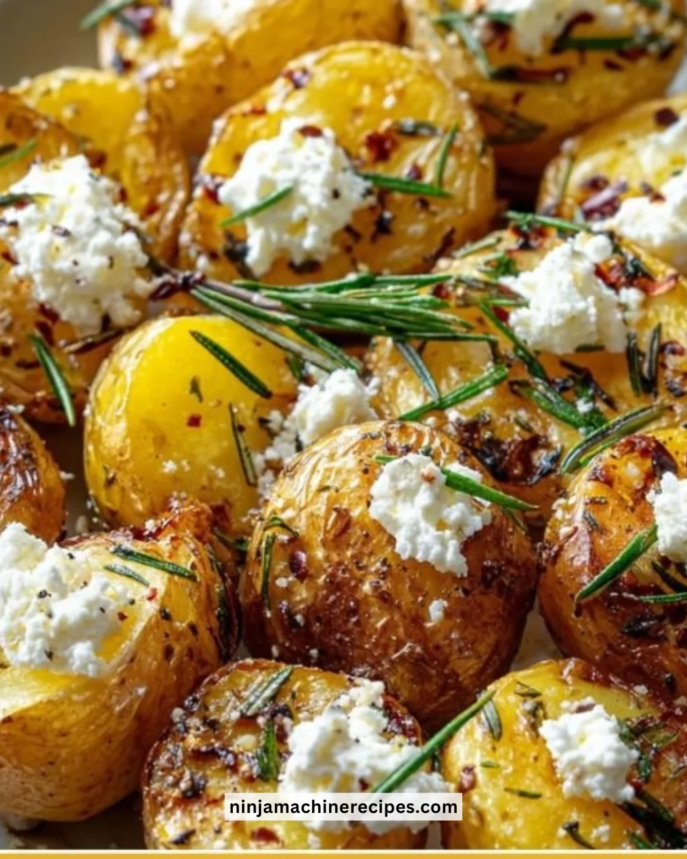 Garlic rosemary roasted potatoes served with ricotta cheese