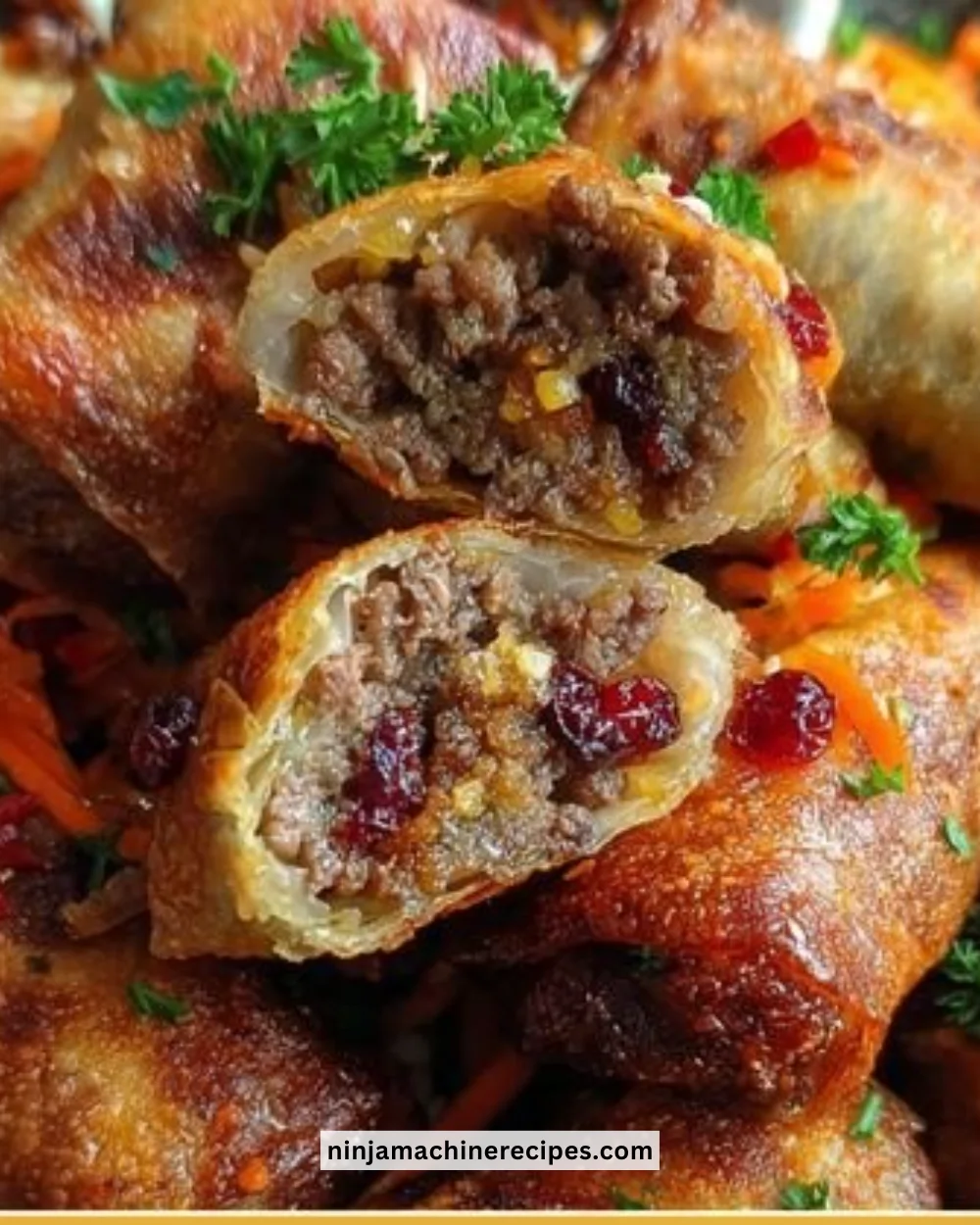 Ginger-Carrot Beef Rolls with Cranberries and Walnuts on a plate