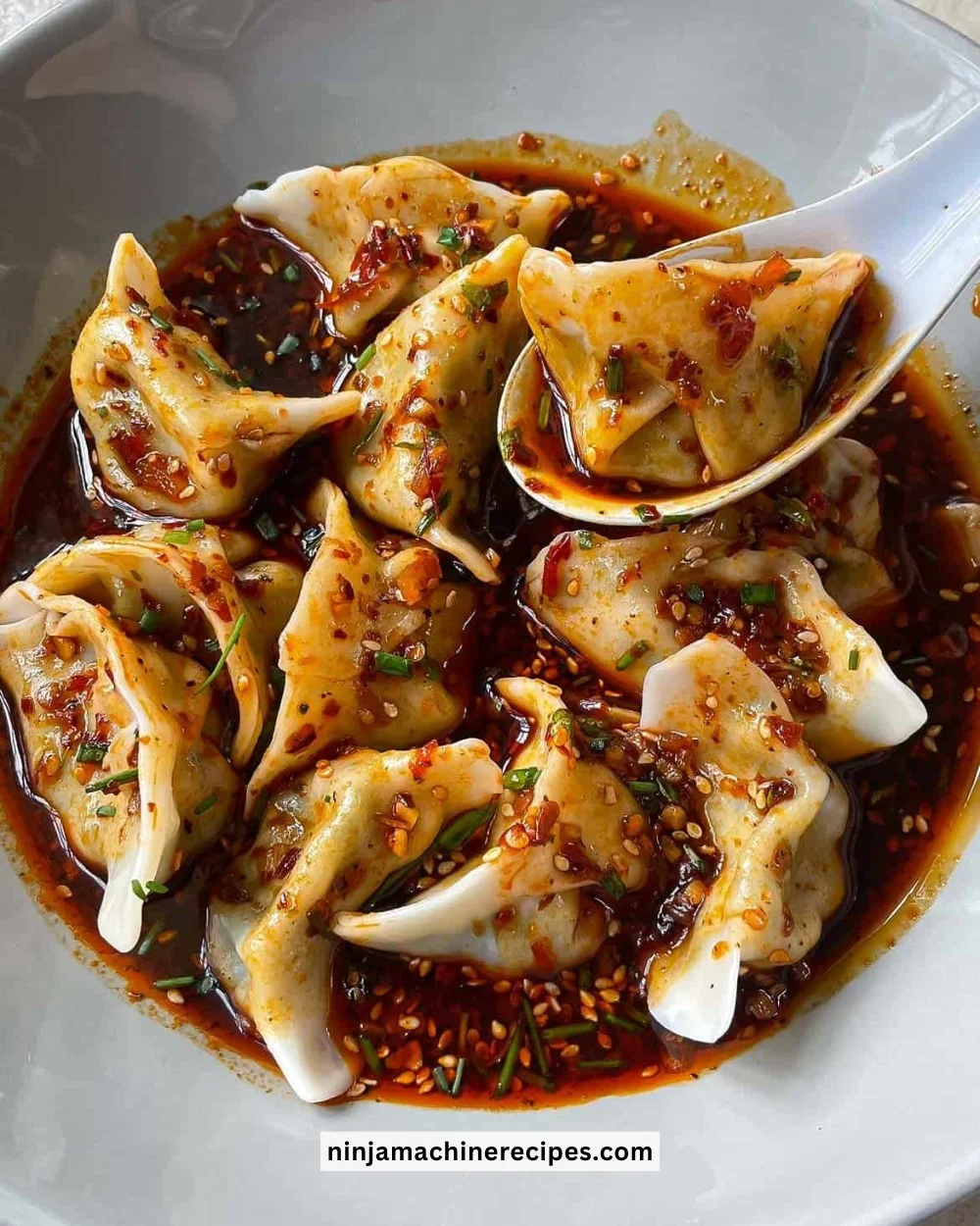 Delicious Sauce Dumpling served with flavorful dipping sauce