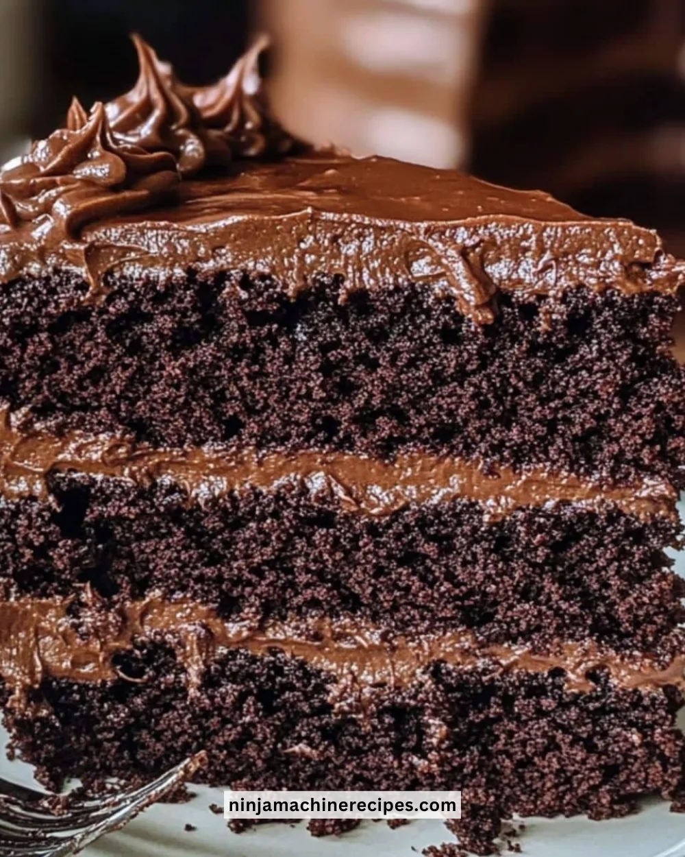 Delicious slice of Matilda Chocolate Cake with rich chocolate frosting