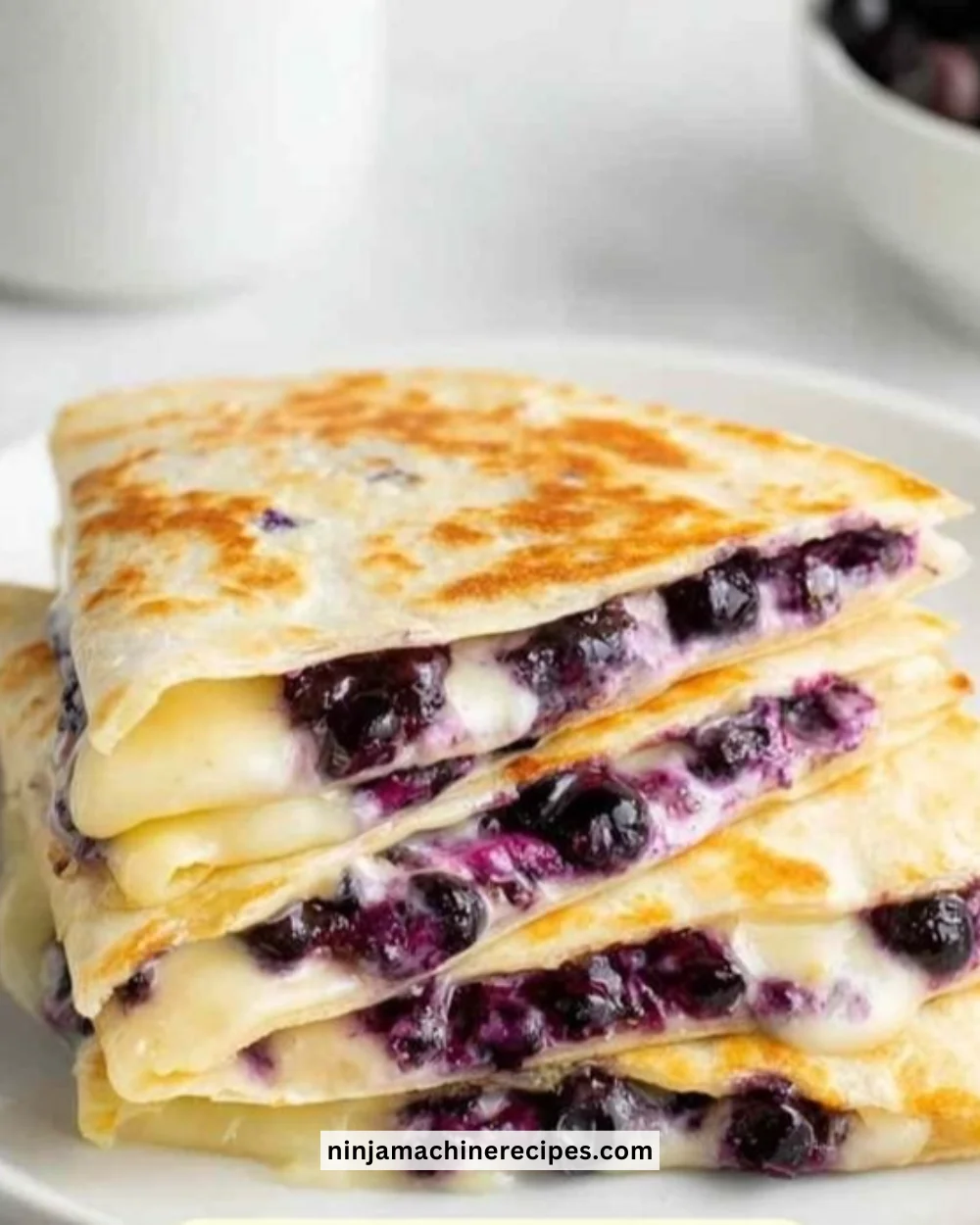 Blueberry breakfast quesadilla served with fresh fruit and syrup