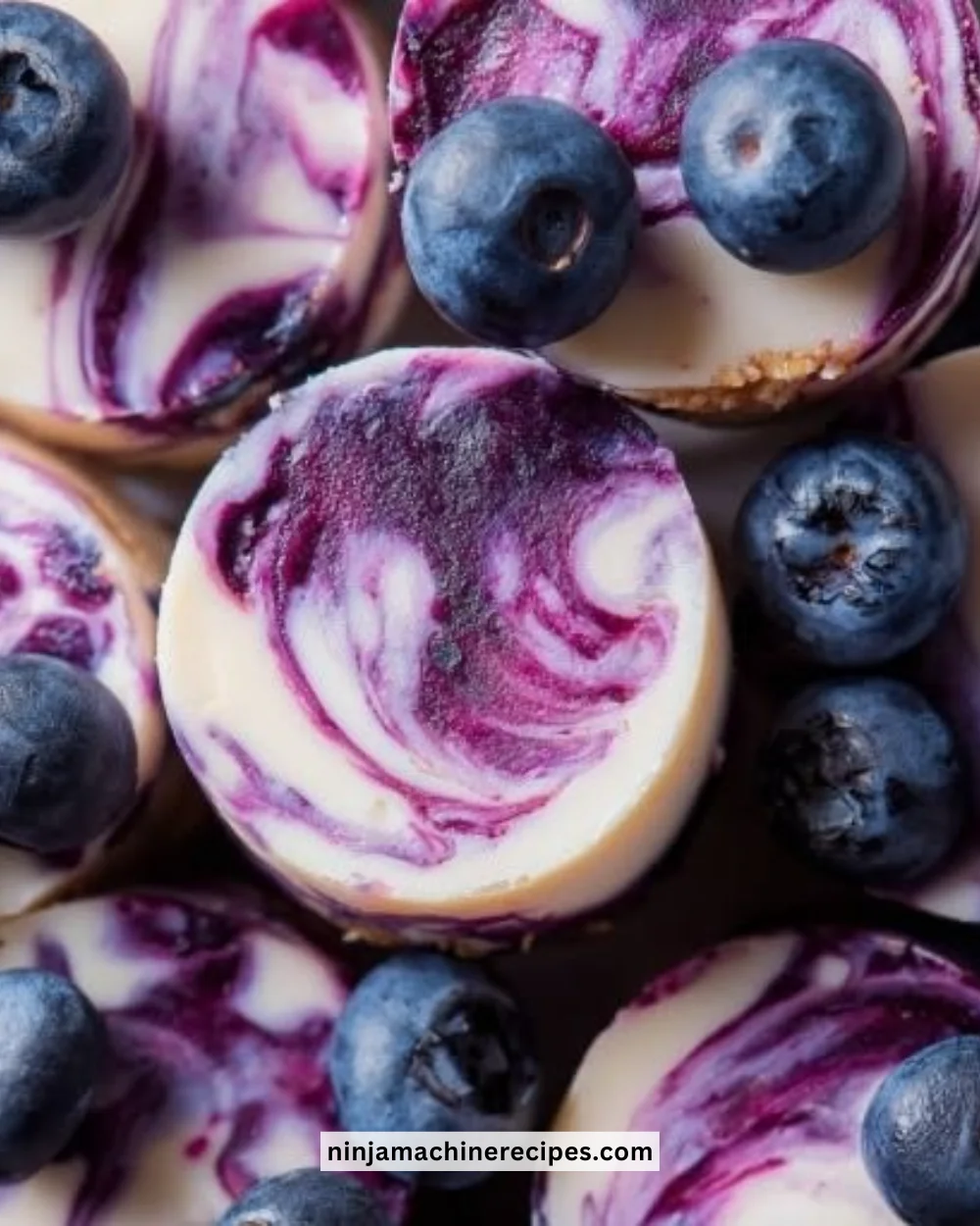 Blueberry Swirl Yogurt Bites - a tasty and nutritious snack