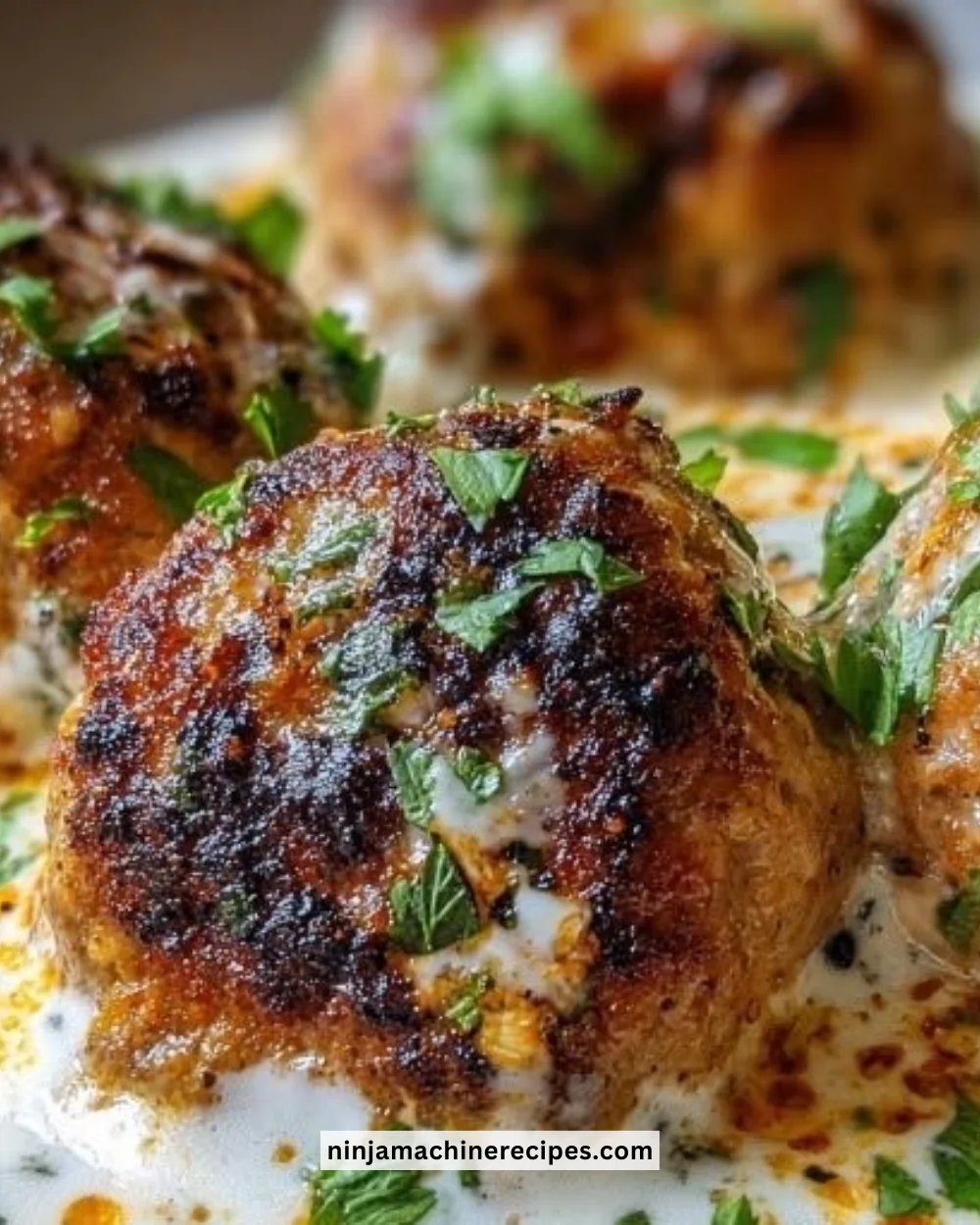 Delicious Chicken Kofta served with garlic yogurt sauce on a plate