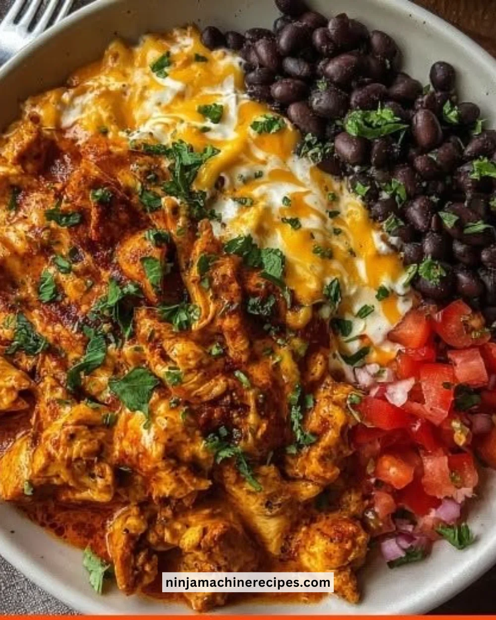 Creamy high protein enchilada bowls garnished with fresh ingredients