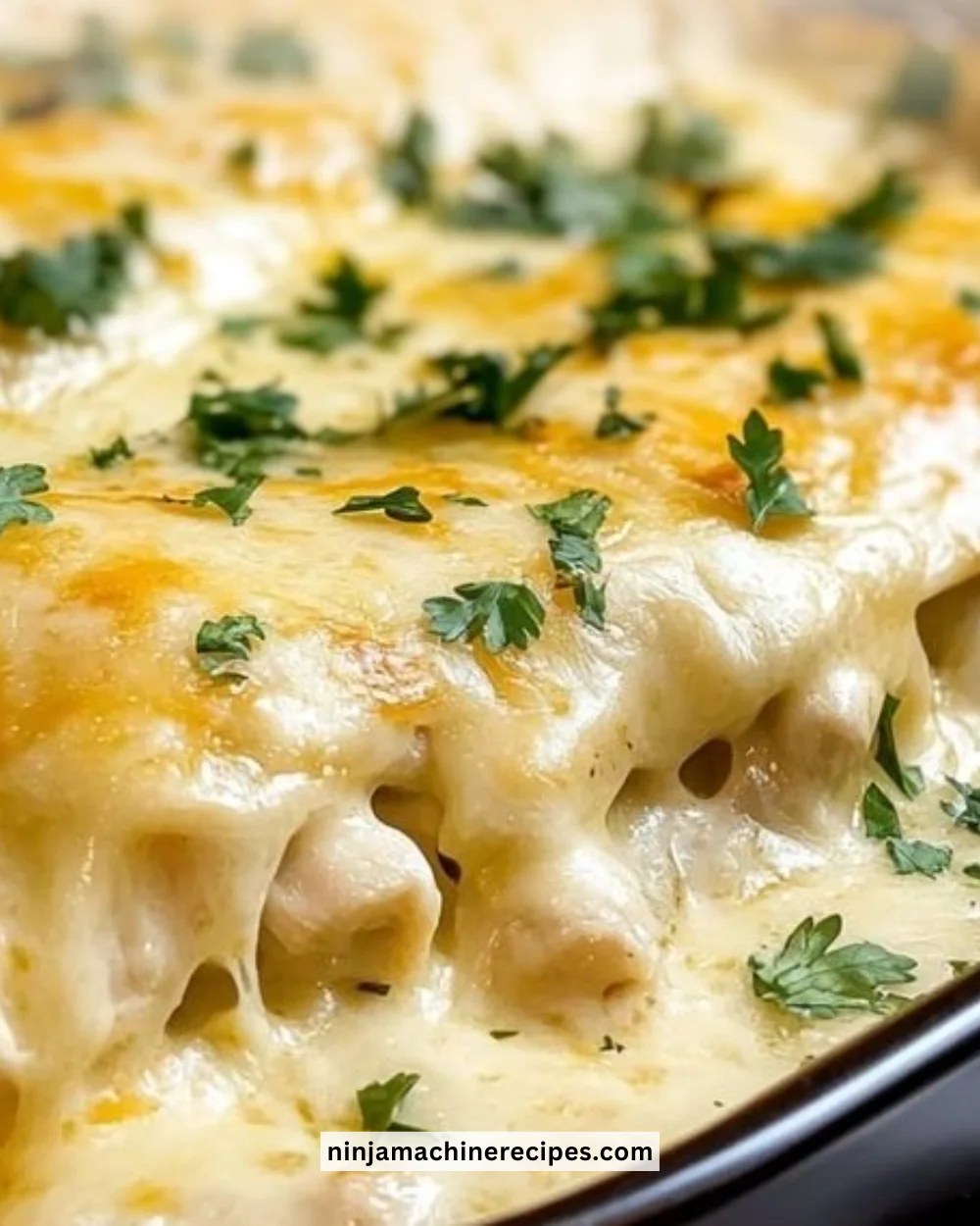 Creamy white chicken enchiladas topped with cheese and cilantro