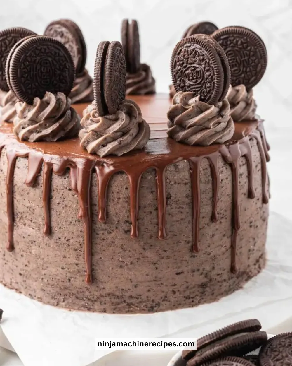 Delicious slice of Easy Dreamy Oreo Cake with Oreo cookie topping