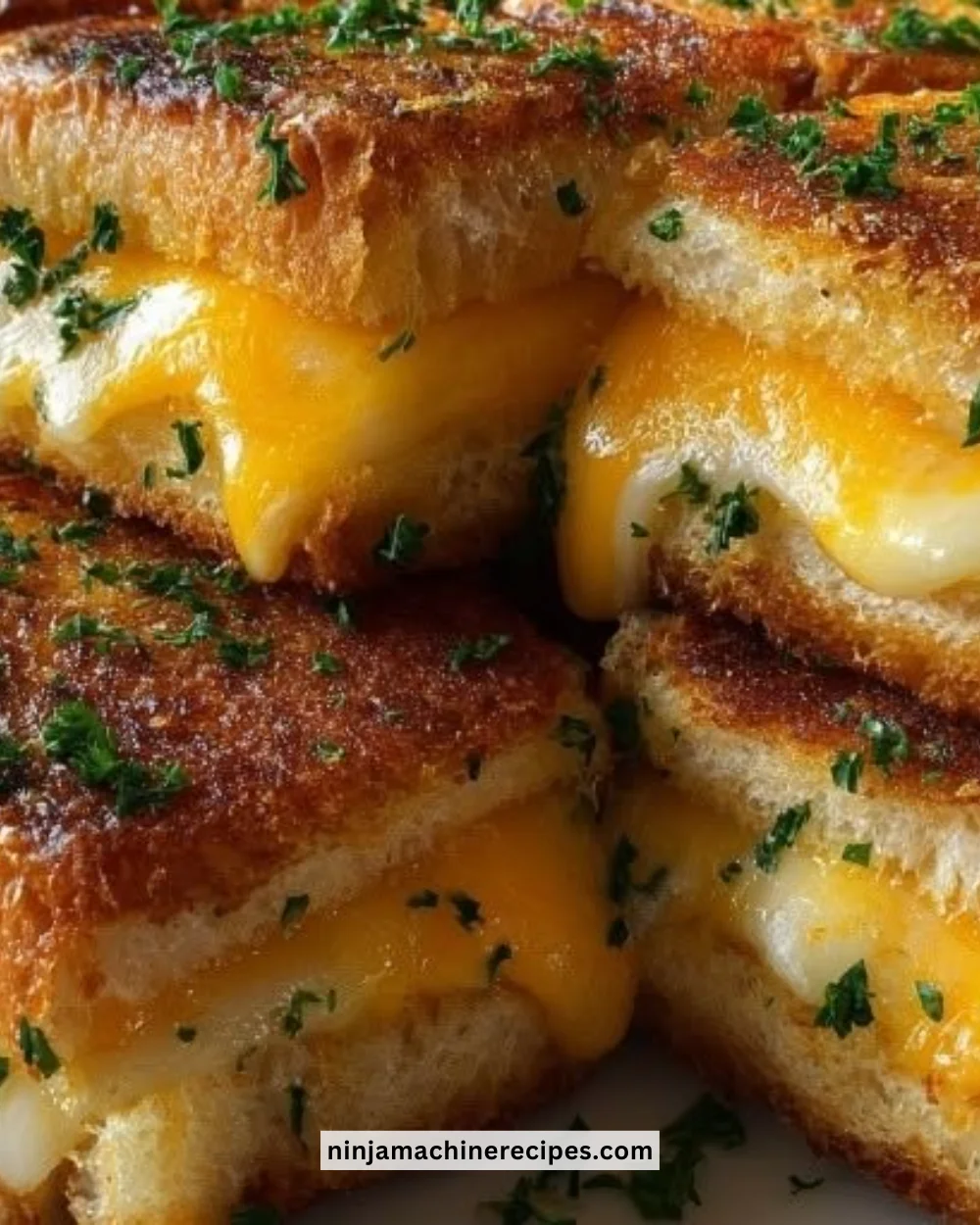 Deliciously melted grilled cheese sandwich with golden toasted bread