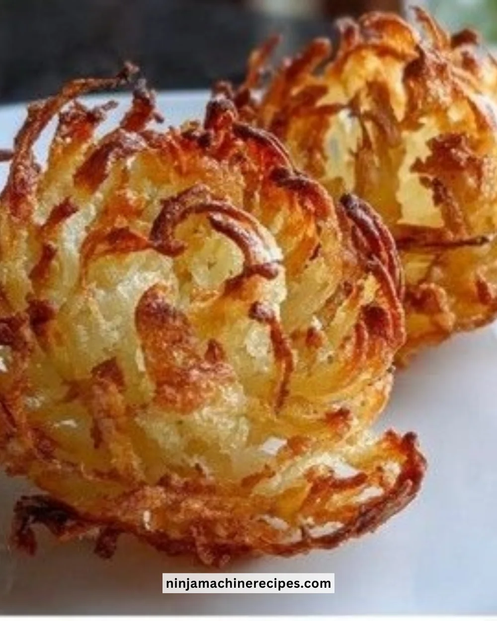 Healthy mini air fryer blooming onions with crispy texture and less oil
