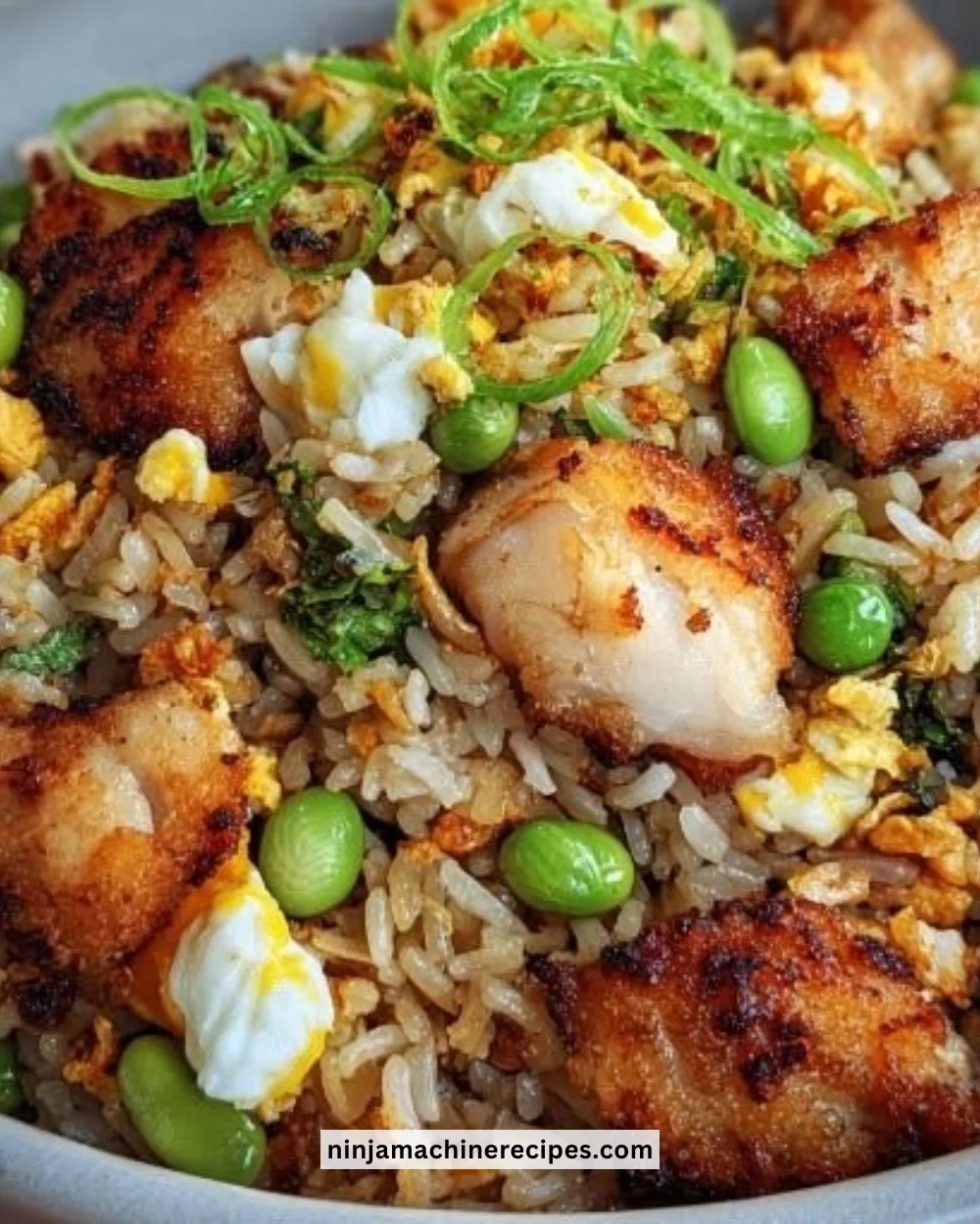 Delicious high protein crispy garlic chicken fried rice dish with fresh vegetables
