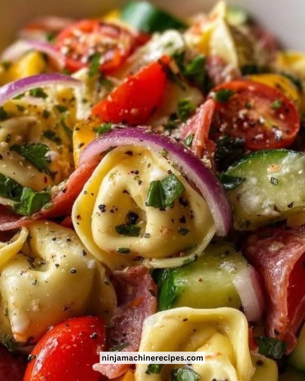 Italian Tortellini Pasta Salad with fresh vegetables and dressing