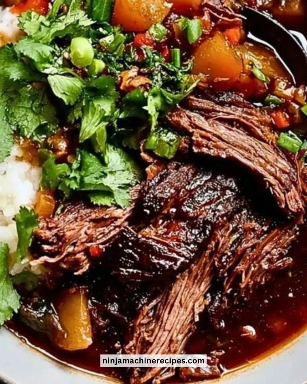 Delicious Korean style pot roast served with vegetables on a platter