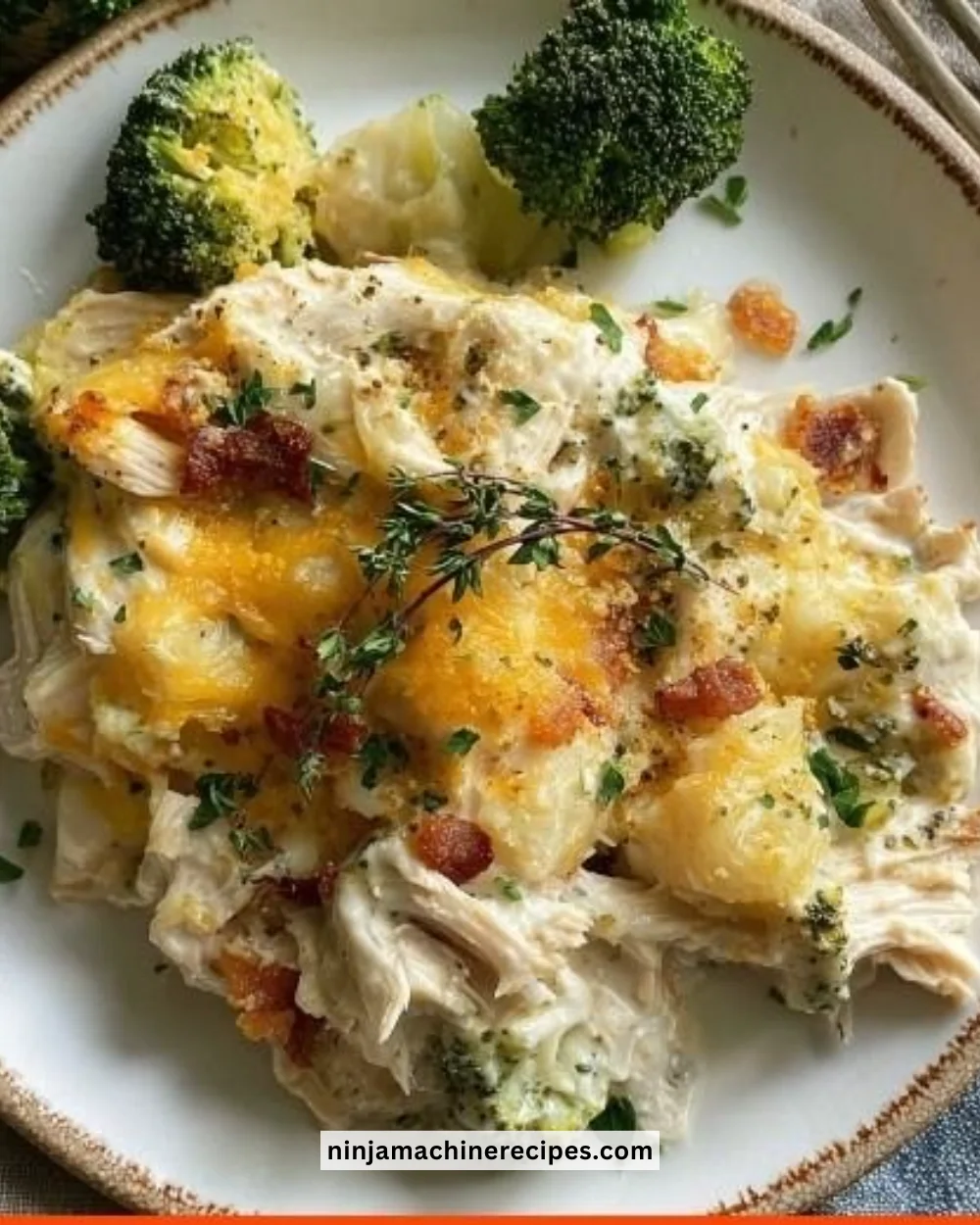 Healthy low carb chicken casserole dish with vegetables and cheese