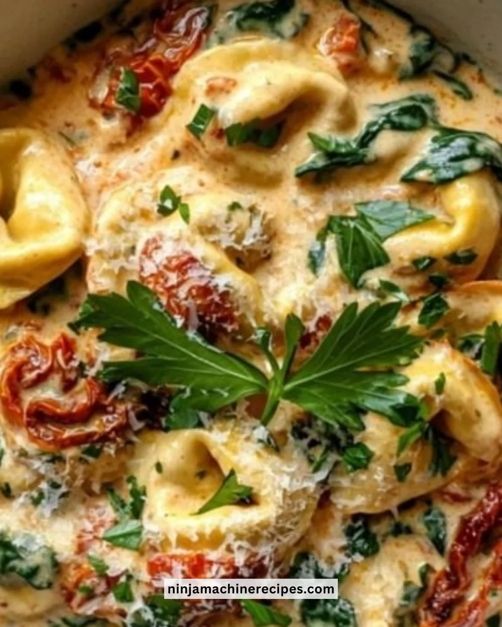 Delicious bowl of Marry Me Tortellini with fresh herbs and sauce