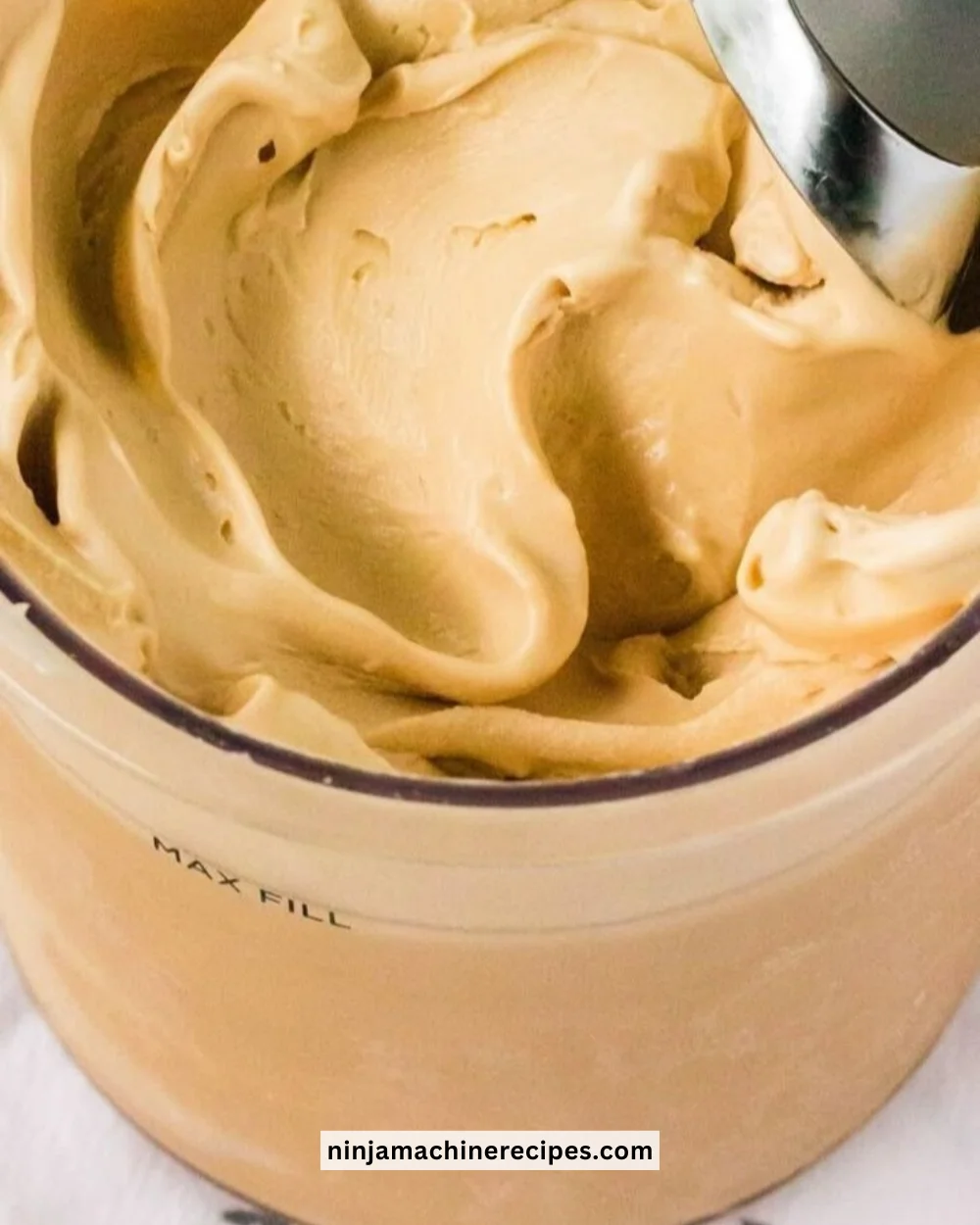Delicious Ninja Creami Cookie Butter Ice Cream in a bowl
