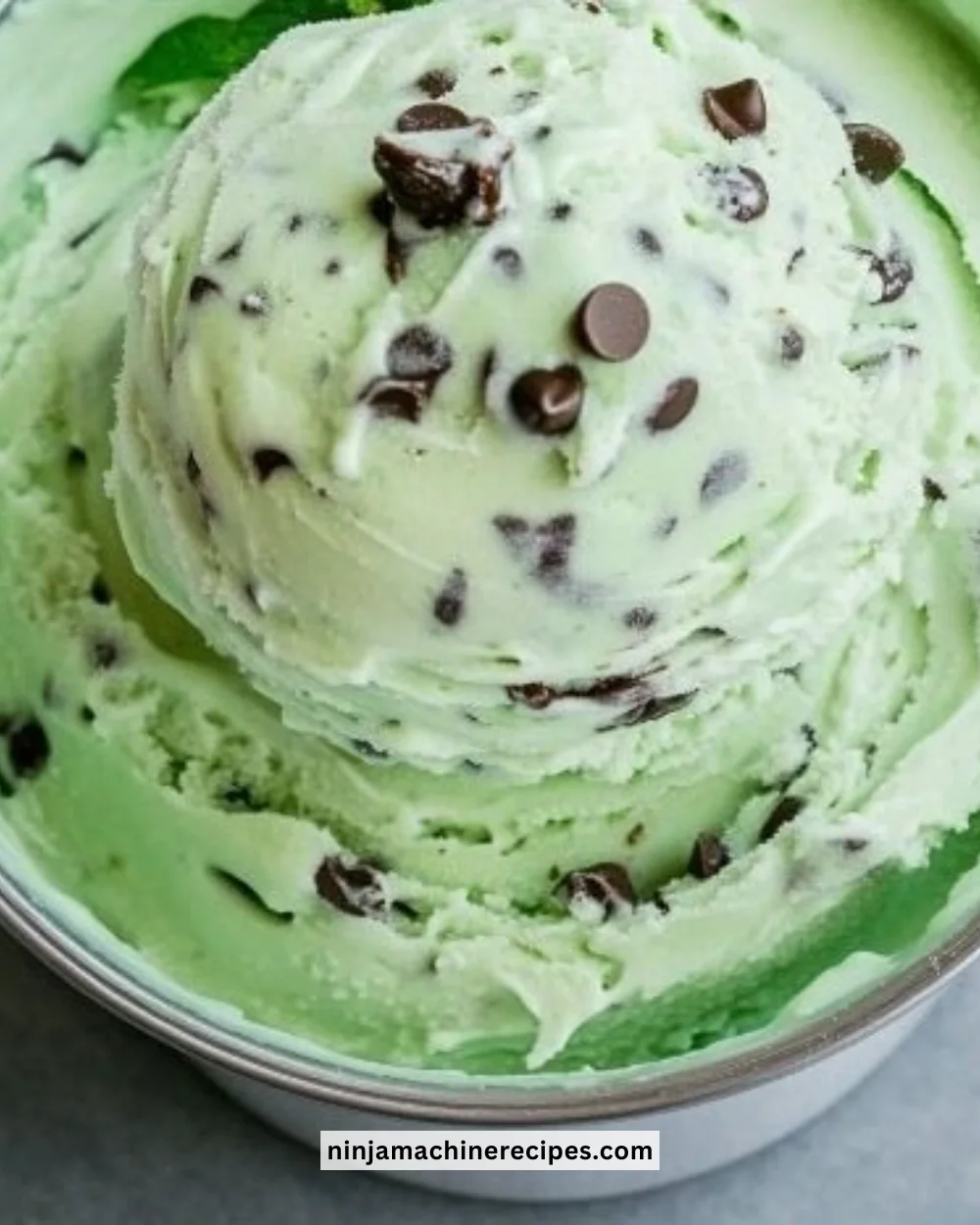 Ninja Creami Mint Chocolate Chip Ice Cream in a bowl topped with chocolate chips