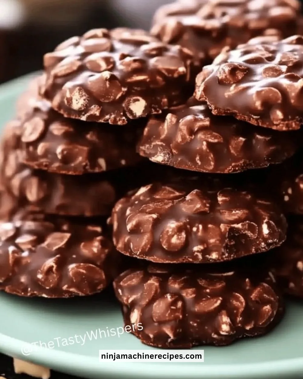 Delicious no bake cookies on a plate, perfect for quick and easy desserts.