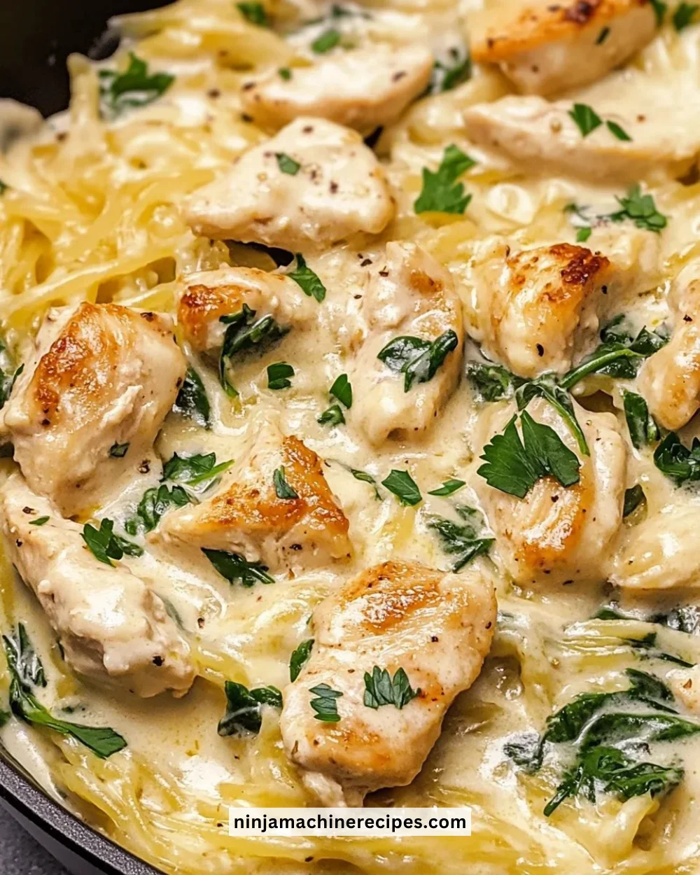 Chicken Alfredo with spinach and spaghetti squash served in a bowl