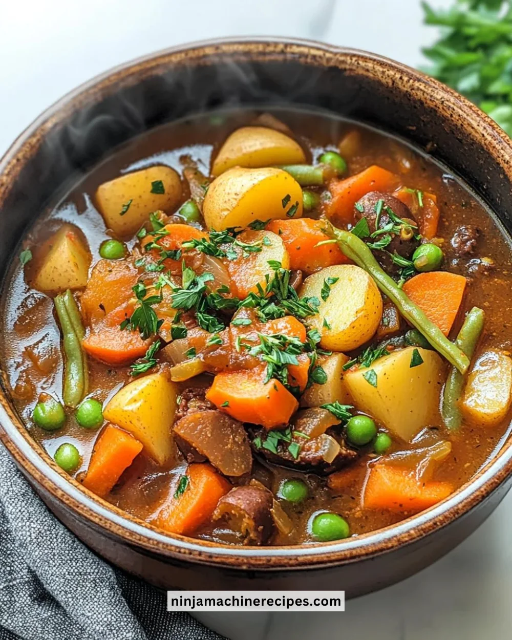Bowl of delicious Irish vegetarian stew with fresh vegetables and herbs