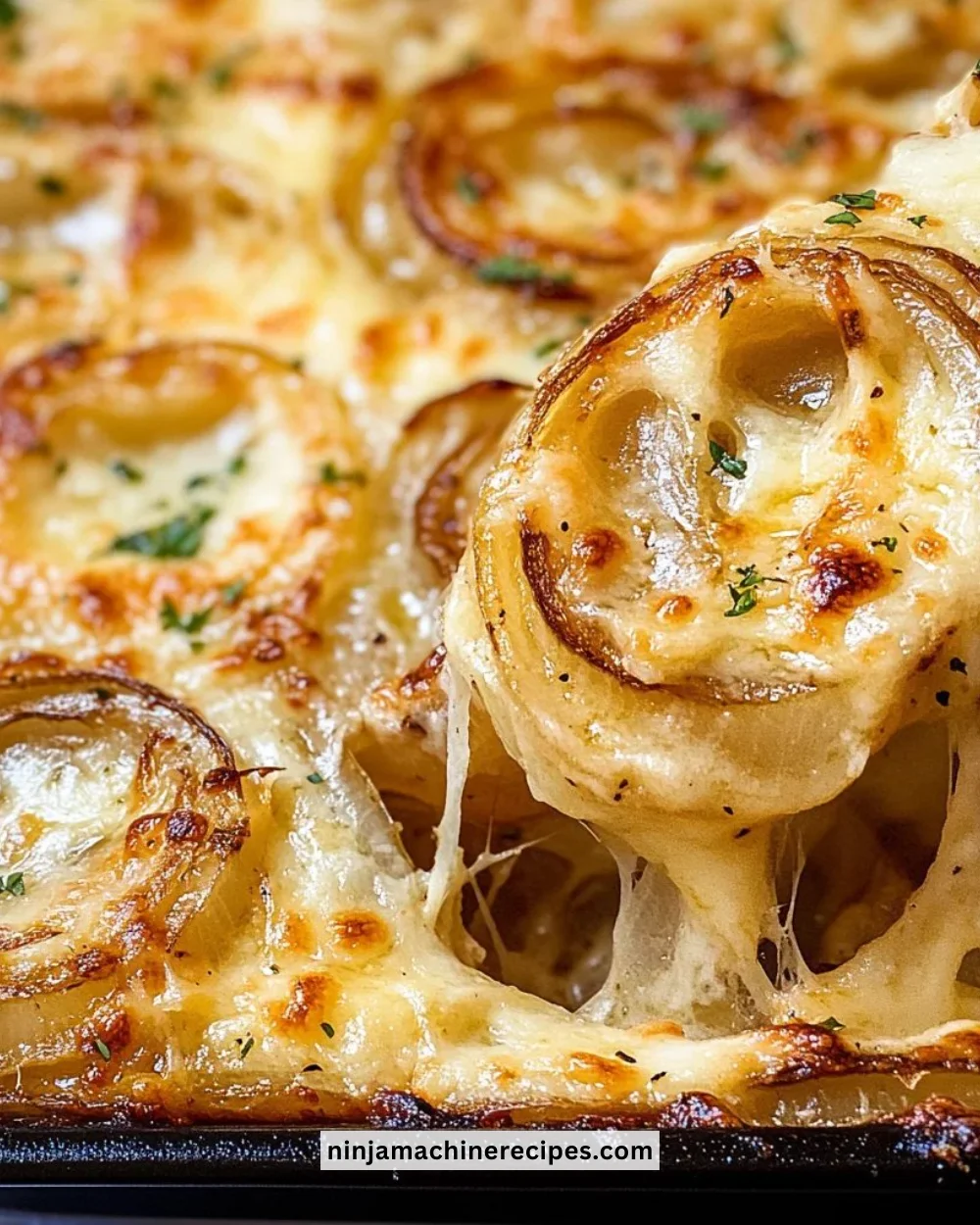 Freshly harvested Tennessee onions ready for culinary use