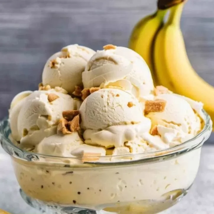 Delicious bowl of homemade banana pudding ice cream with sliced bananas.