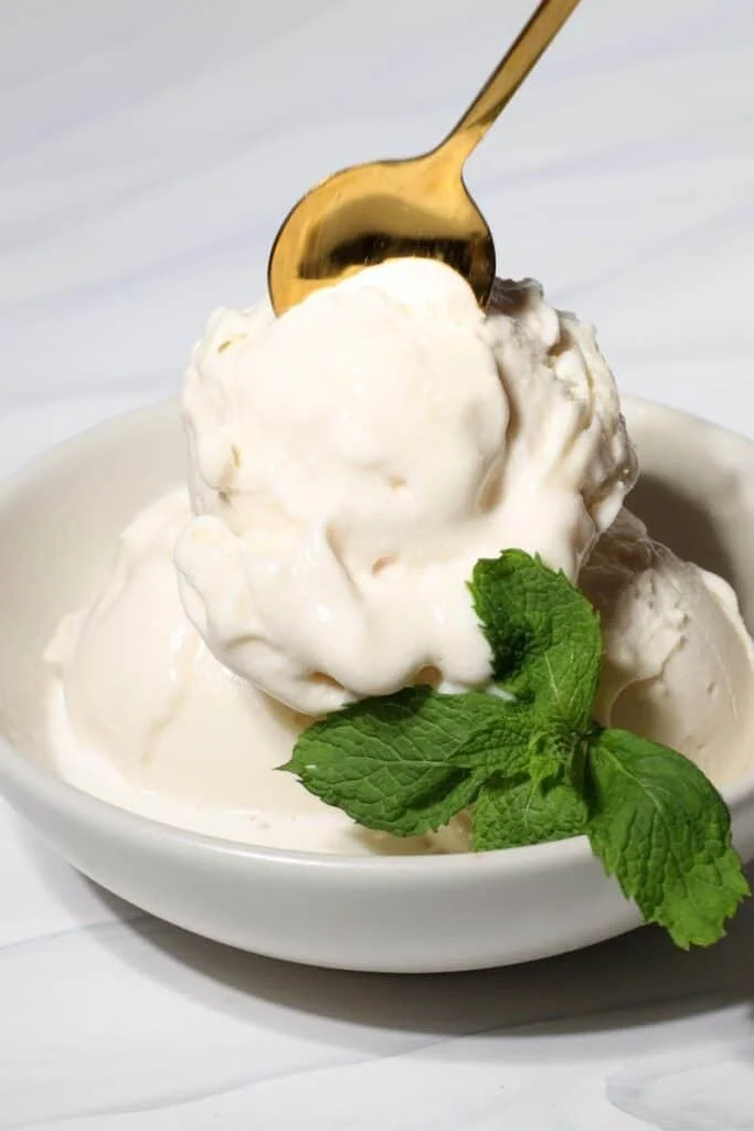 Homemade Dole Whip made with Ninja Creami machine