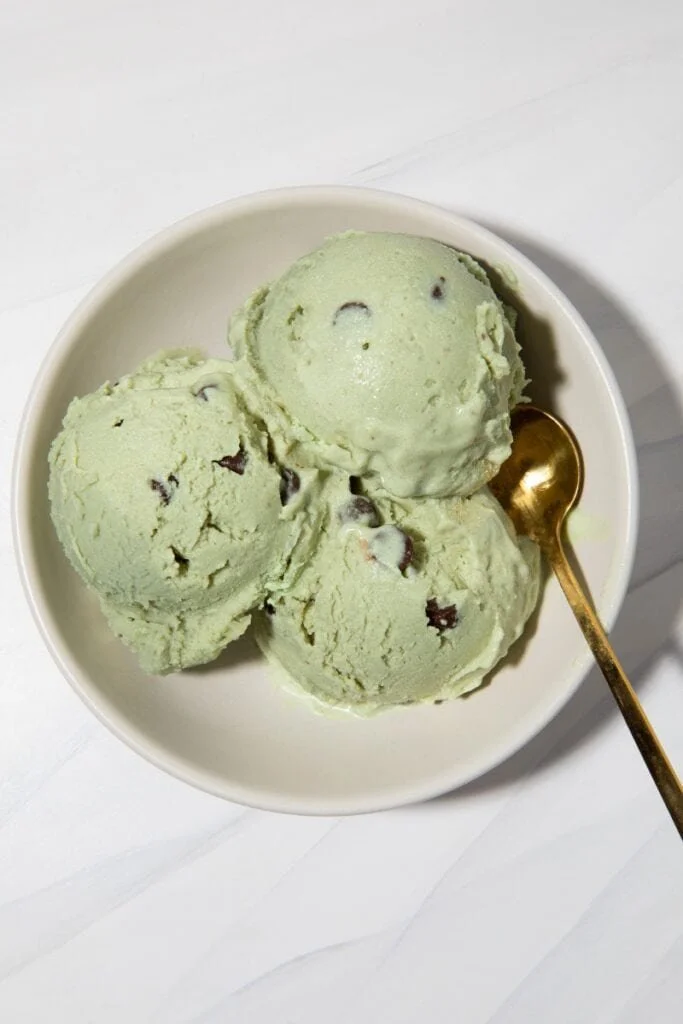 Ninja Creami Mint Chocolate Chip Protein Ice Cream