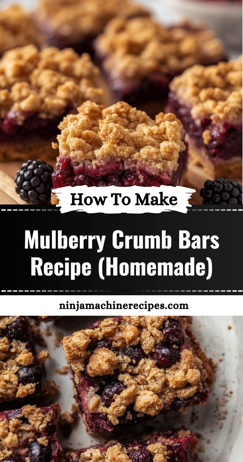 Mulberry Crumb Bars Recipe Homemade