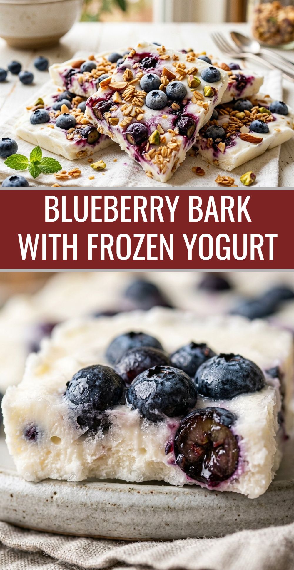 Blueberry Bark With Frozen Yogurt