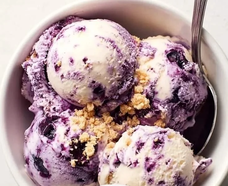 Blueberry Cheesecake Ice Cream