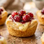 Cranberry Brie Bites Thanksgiving Appetizer